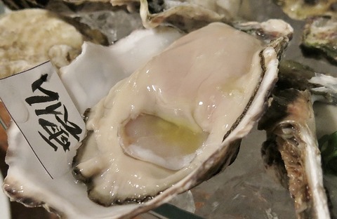 IMG_2914 (800x520)