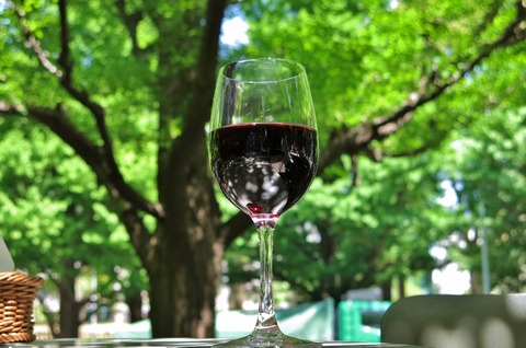 IMG_5572 (800x530)