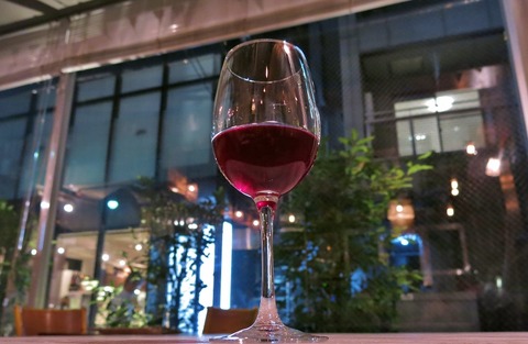 IMG_5185 (800x522)