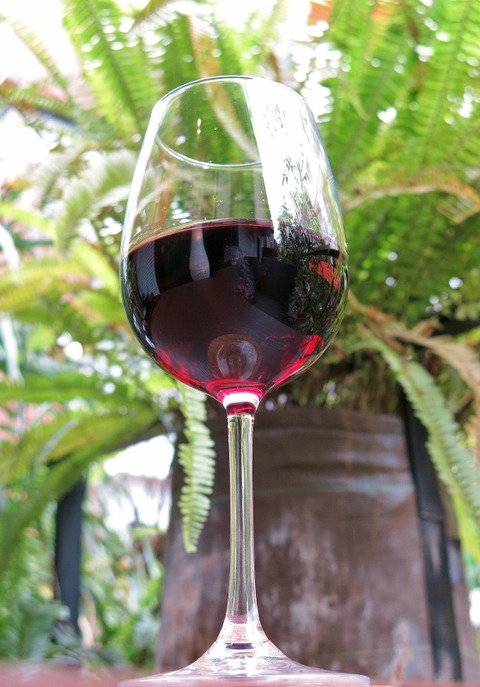 IMG_5967 (559x800)