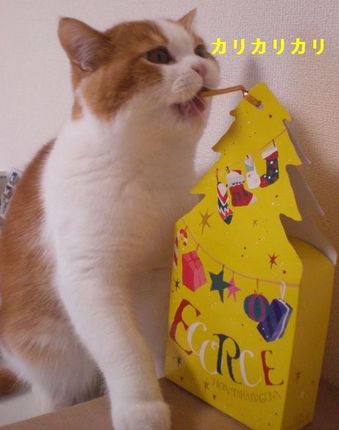 maru169