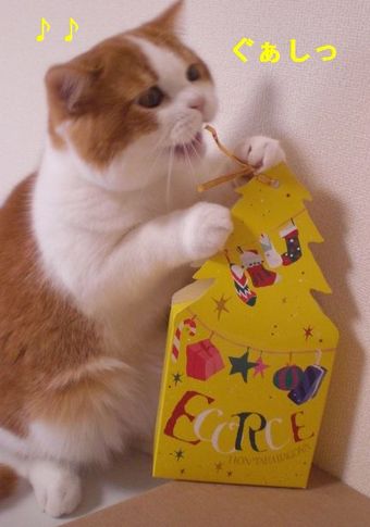 maru168