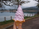 そふと
