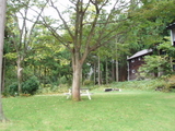 そと