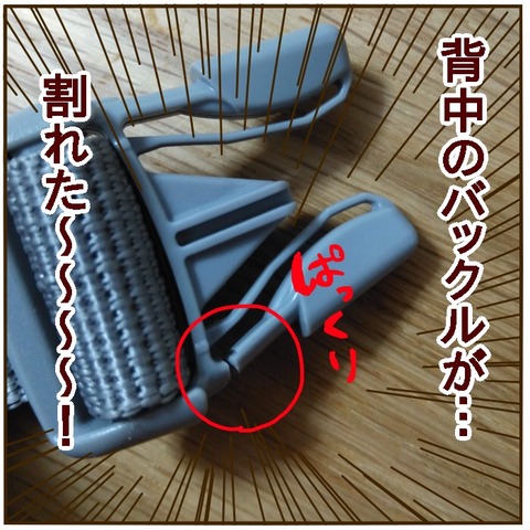 4DC09FE1-80F7-45B8-9ED3-CF5278B70A56