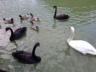 IMG_1981