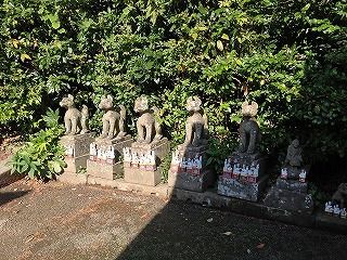 IMG_1754