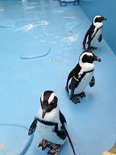 IMG_1930
