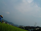 378629d2.JPG