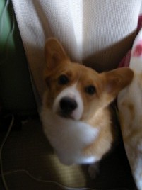 �֤ͤत�衼����