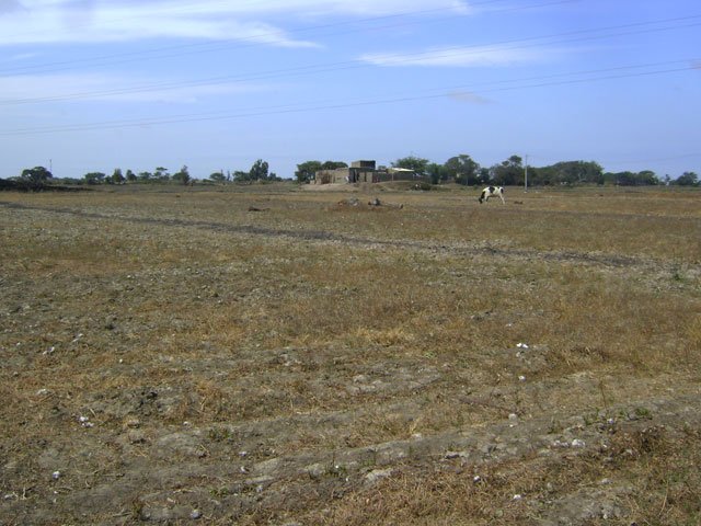 723982fe.jpg
