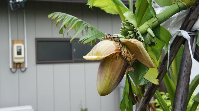 DSC02172