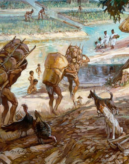climate-change-could-have-doomed-maya-illustration_61064_big