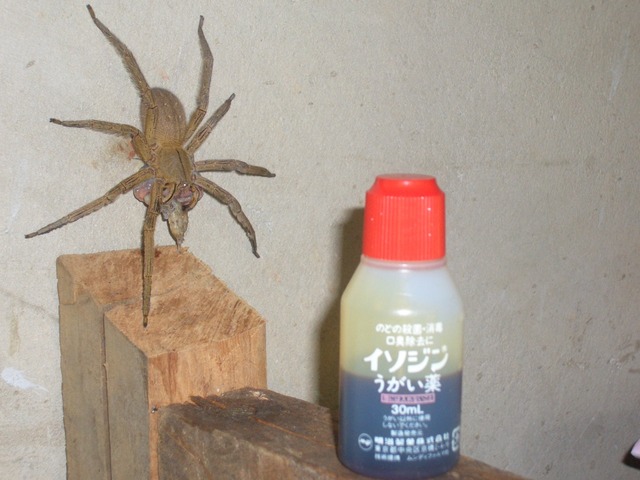 de465f79.jpg