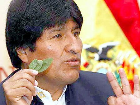 Evo-Morales-coca_450_339