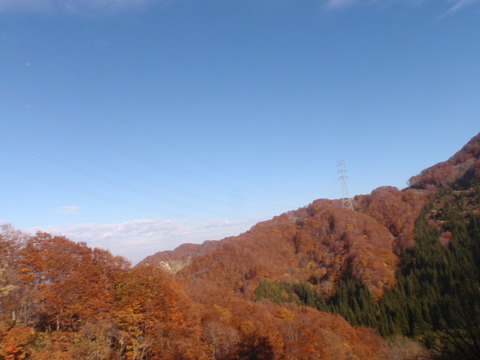 AB040060