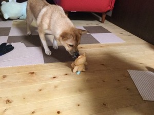 IMG_1509