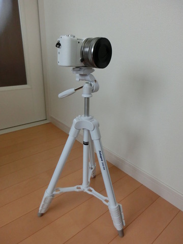 ミーナ25