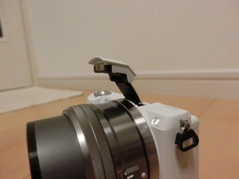 SONYα5100デジイチ25