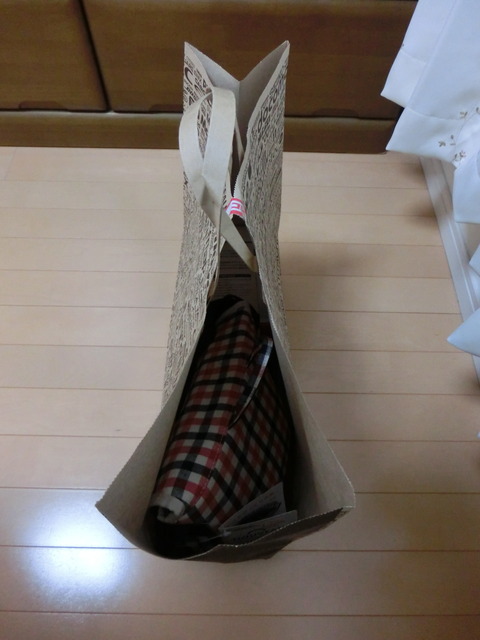 SONYα5100デジイチ2