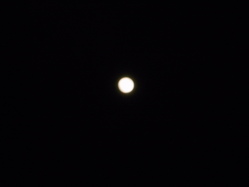 画像 312