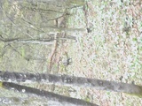 f22e6409.jpg