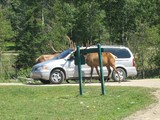 park1
