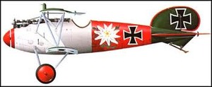 albatros dv flower on red