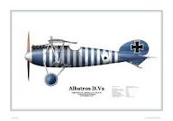 albatros dv blue zebra