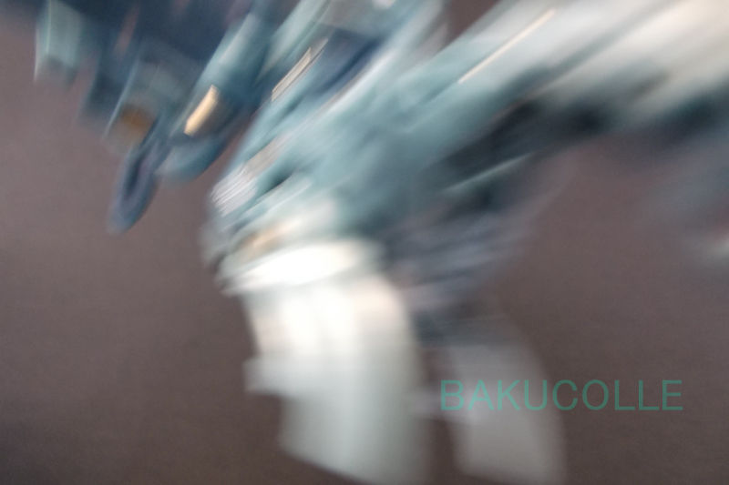 DSCF6819