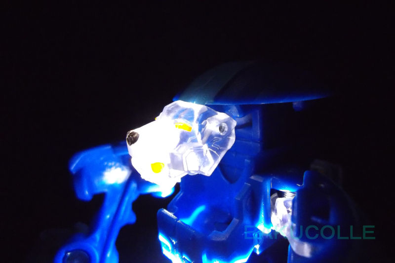 DSCF0801