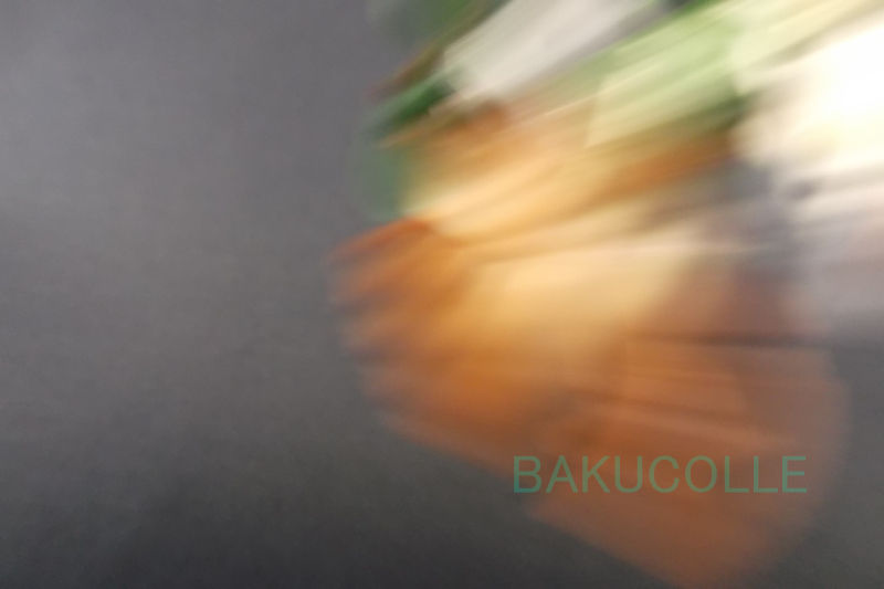 DSCF6773