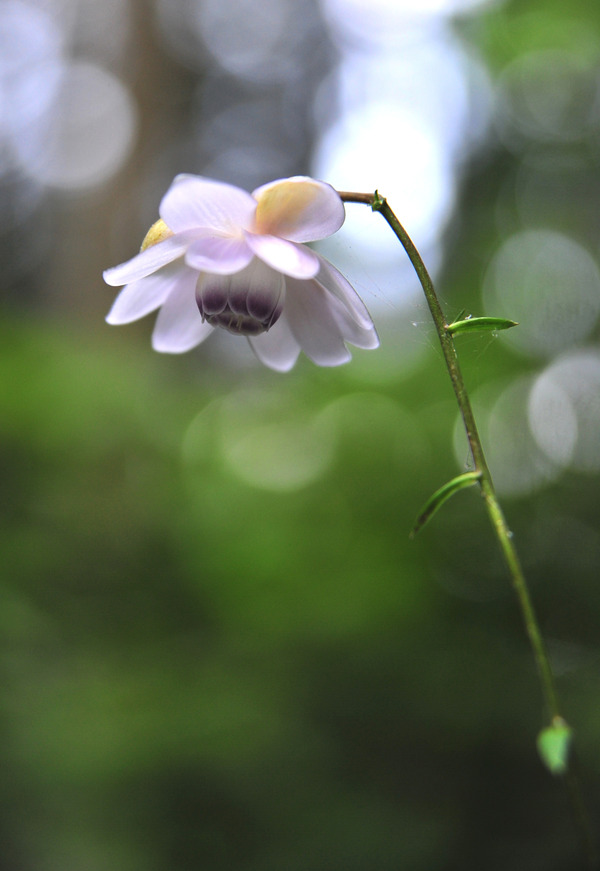 DSC_2357 (2)