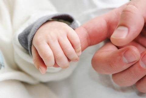 shutterstock_63758845-480x322