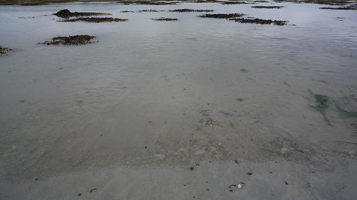 f0844259.jpg