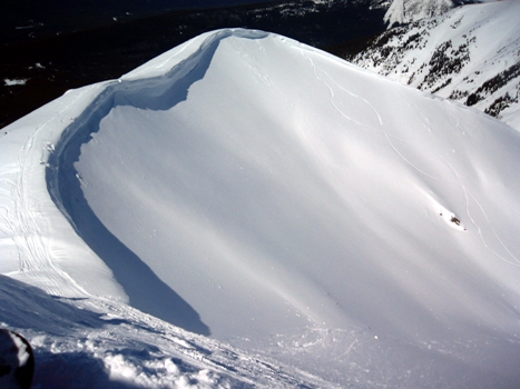 white rabbit -backcountry area