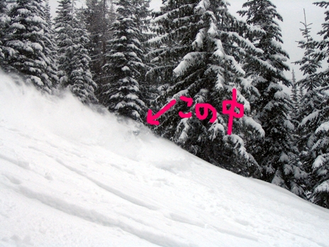 Makiko in Powder