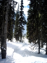 back to the trail