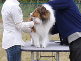 Riku20070520-3