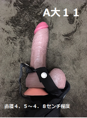 a11