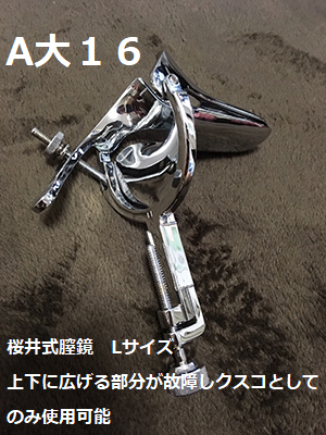 a16