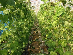 IMG_0439