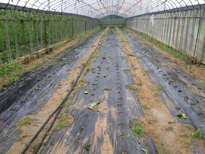 IMG_0496