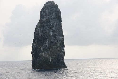 DSC02019