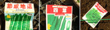 キュウリ種蒔き2012.04.01.