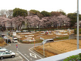 区民農園2010.04.04.jpg