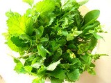 サラダミックス2010.03.16.jpg