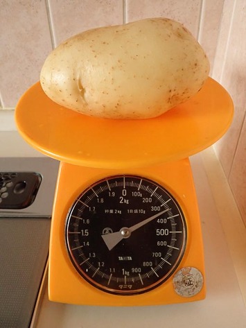 ���󥷥�2-2018.06-17