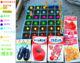 種まき2010.03.05.jpg
