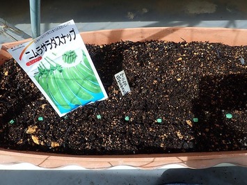 �˥�饵������ʥå�2018.09.07